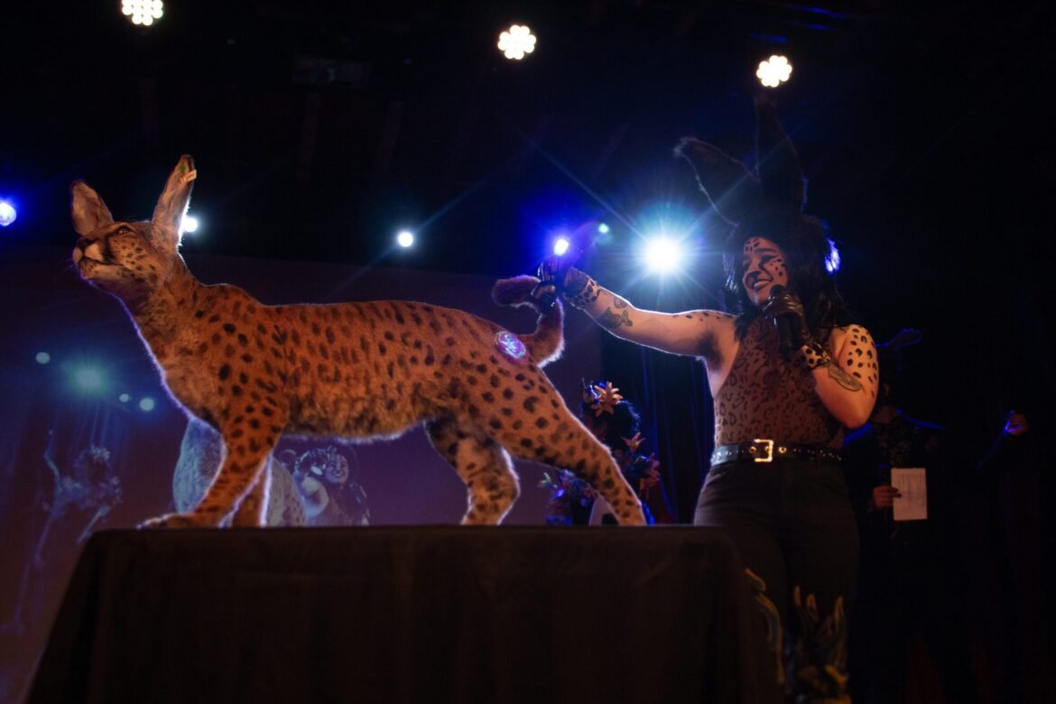 Taxidermist-Nick-DelCastillo-presenting-his-Wunderkammer-entry-a-‘ranbi-named-Ophelia-scaled.jpg
