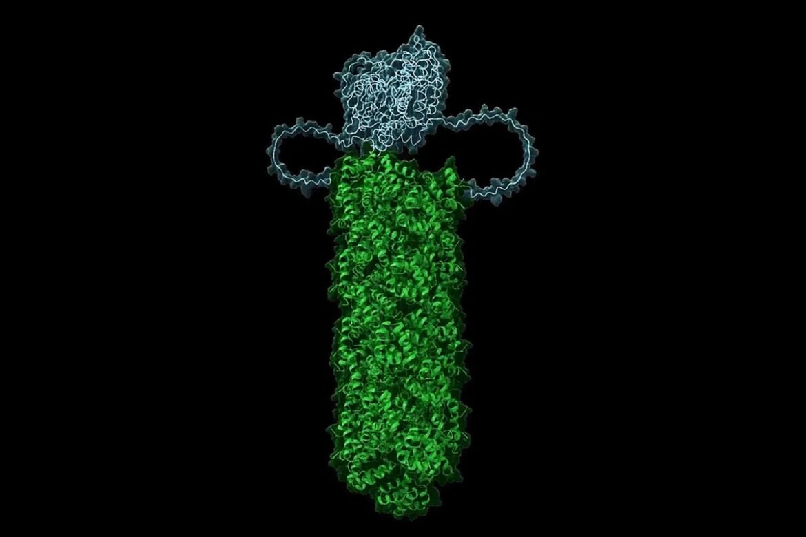 death_fold_domains.jpg